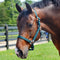 Country Pride Deluxe Poly Halter
